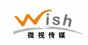 2017v影响力峰会在京召开 微视传媒获 微博2017十大影